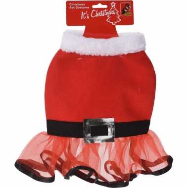 Kerstjurkje hond